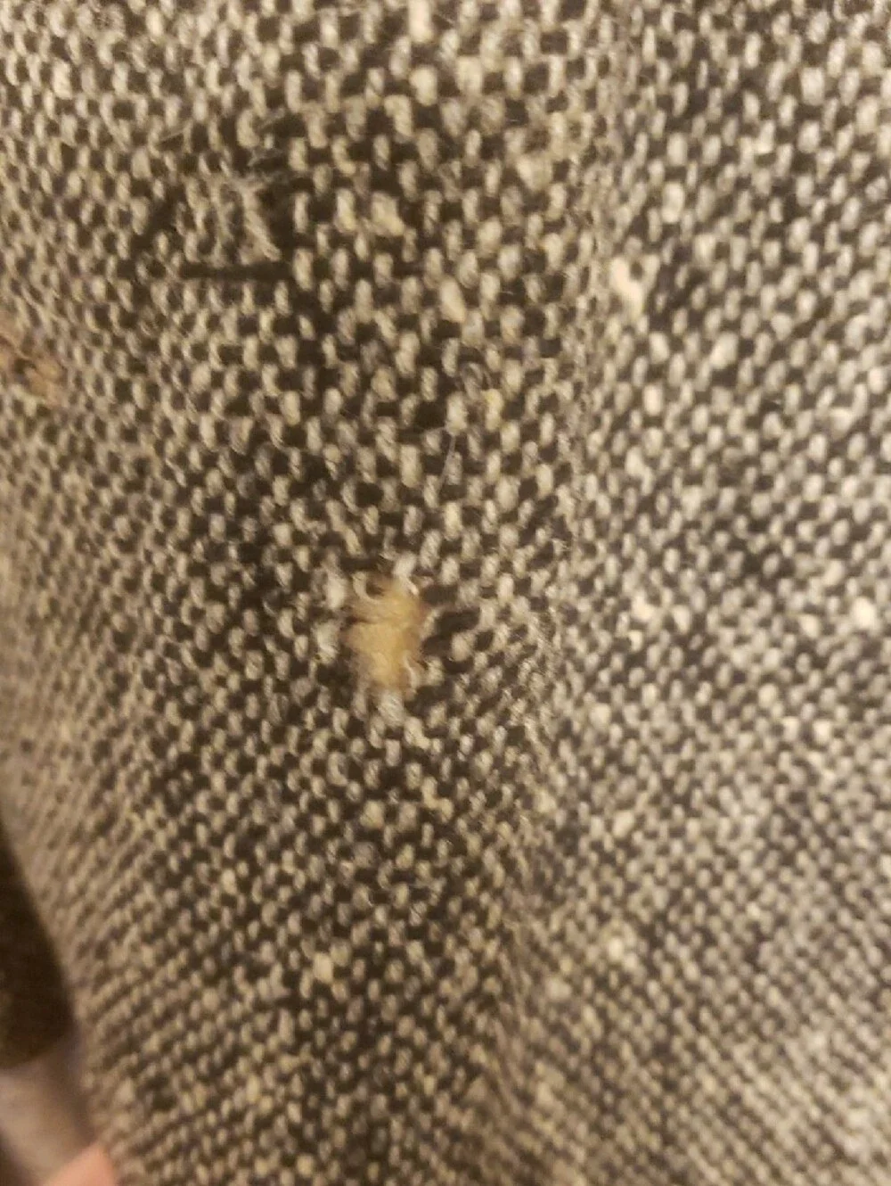 Burbeeey Tweed Balmacaan